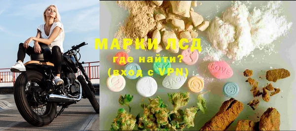 твердый Михайлов