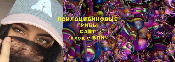 твердый Михайлов