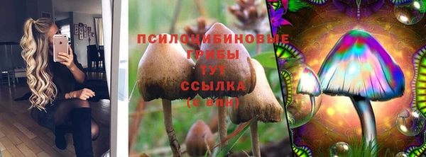 твердый Михайлов