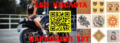 винт Гусев